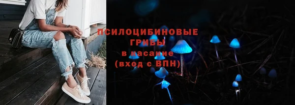 spice Майский