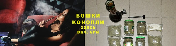 шишки Магадан