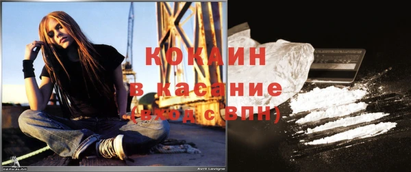 шишки Магадан