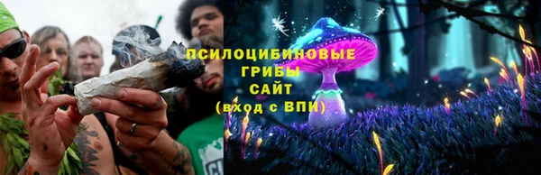 spice Майский