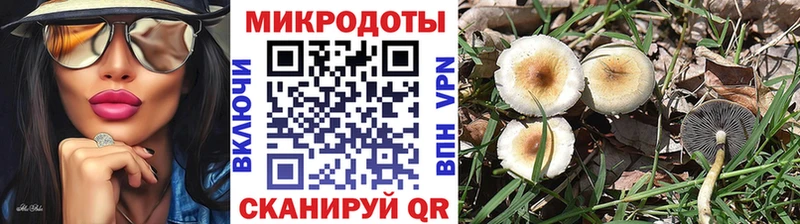 Псилоцибиновые грибы мухоморы  закладки  Омутнинск 